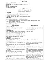 giáo án mĩ thuật lớp 1 2 3 4 5 - Tuần 30