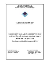 Luận văn tốt nghiệp nghiên cứu sự đa dạng di truyền các giống sầu riêng (durio zibethinus murr ) bằng kỹ thuật RAPD