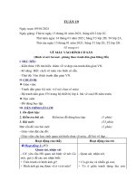 Giáo án mĩ thuật tuần 19