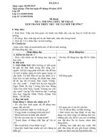 giáo án Mĩ thuật - kĩ thuật lớp 1 2 3 4 5 - Tuần 1 (2019 - 20120)