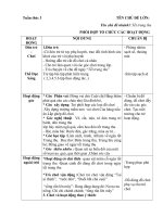 giáo án phụ tuần 3 TẾT TRUNG THU