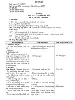 giáo án Mĩ thuật - kĩ thuật lớp 1 2 3 4 5 - Tuần 28 (2019 - 2020)