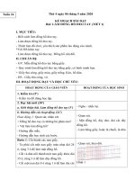 Giáo án Thủ công Lớp 2 - Tuần 24