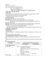 giáo án tuần thể dục