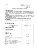 Giáo án tin học lớp 5 tuần 7