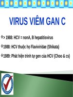 VIRUS VIÊM GAN c (HCV) (VI SINH) 