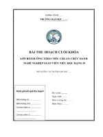 BAI THU HOACH CHUC DANH NGHE NGHIEP GIAO VIEN TIEU HOC HANG II 1 