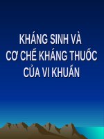 KHÁNG SINH và cơ CHẾ KHÁNG THUỐC của VI KHUẨN (VI SINH) 