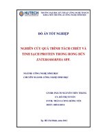 Đồ án tốt nghiệp nghiên cứu quá trình tách chiết và tinh sạch protein trong rong bún enteromorpha spp  