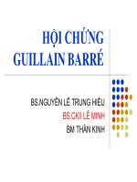 Bài giảng Hội chứng Guillain barré - BS. Nguyễn Lê Trung Hiếu