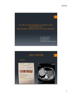 tài liệu  phần mềm siêu âm