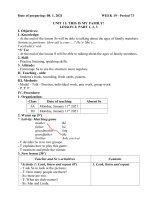 Giáo án Tiếng Anh Lớp 3 - Tuần 19