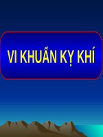 VI KHUẨN kỵ KHÍ (VI SINH) 