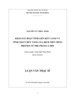 Khảo sát hoạt tính liên kết canxi và tính chất chức năng của dịch thủy phân protein từ phụ phẩm cá hồi  