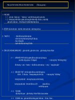 tài liệu  phần mềm siêu âm