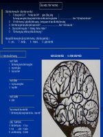 tài liệu  phần mềm siêu âm