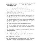 NỘI QUY NHÀ TRƯỜNG KHI THAM GIA HỌC ONLINE