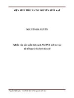 Luận văn thạc sĩ nghiên cứu sản xuất, tinh sạch pfu DNA polymerase tái tổ hợp từ escherichia coli 