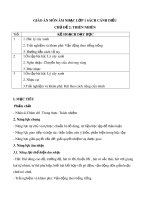 Giáo án môn Âm nhạc lớp 1 sách Cánh Diều - Chủ đề 2: Thiên nhiên