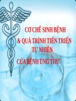 CƠ CHẾ SINH BỆNH SINH và QUÁ TRÌNH TIẾN TRIỂN tự NHIÊN của BỆNH UNG THƯ (UNG THƯ) 