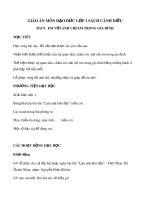 Giáo án môn Đạo đức lớp 1 sách Cánh Diều - Bài 9: Em với Anh chị em trong gia đình