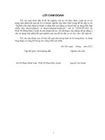 Nghiên cứu ảnh hưởng của nhiên liệu sinh học trong hỗn hợp dieselethanol biodiesel tới tính năng kỹ thuật và phát thải động cơ diesel 