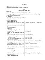 Giáo án tuần 12 lớp 2