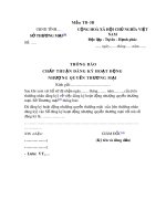 Mẫu Thông báo chấp thuận đăng ký hoạt động nhượng quyền thương mại (Mẫu TB-3B)