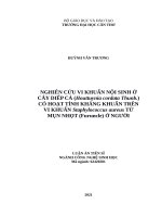 luận án tiến sĩ nghiên cứu vi khuẩn nội sinh ở cây diếp cá có hoạt tính kháng khuẩn trên vi khuẩn staphylococcus aureus từ mụn nhọt ở người 