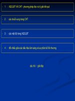 tài liệu  phần mềm siêu âm