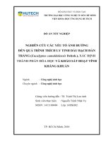Đồ án tốt nghiệp nghiên cứu các yếu tố ảnh hưởng đến quá trình trích ly tinh dầu bạch đàn trắng 