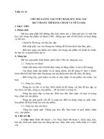 giao an lop 1 tuan 13 14