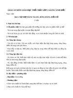 Giáo án môn Giáo dục thể chất lớp 1 sách Cánh Diều - Bài 2: Tập hợp hàng ngang, dóng hàng, điểm số