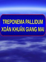 TREPONEMA PALLIDUM (VI SINH) 