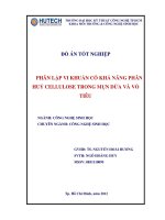 Đồ án tốt nghiệp phân lập vi khuẩn có khả năng phân hủy cellulose trong mụn dừa và vỏ tiêu 