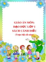 Giáo án môn Đạo đức lớp 1 sách Cánh Diều (Trọn bộ cả năm)