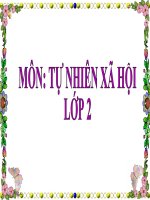 TNXH- Tuần 23- Lan Hương - Lop 2A7: Ôn tập : Xã hội