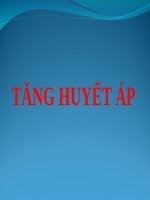 TĂNG HUYẾT áp (nội cơ sở) 