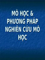 MÔ học và PHƯƠNG PHÁP NGHIÊN cứu mô học (mô PHÔI) (chữ biến dạng do slide dùng font VNI times, tải về xem bình thường) 