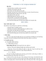 Giáo trình Thực vật dược - Nghề: Dược (Trình độ Cao đẳng): Phần 2