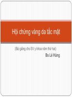 Bài giảng Hội chứng vàng da tắc mật - BS. Lê Hùng