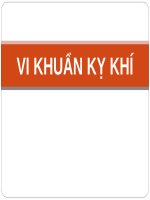 VI KHUẨN kỵ KHÍ  (VI SINH) 