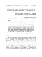 Nghiên cứu hiện trạng và đề xuất phương án phục hồi môi trường cho mỏ đá khu vực Nam khối A - Tân Lâm, Quảng Trị