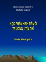 Slide học PHẦN KINH tế môi TRƯỜNG Tmu