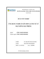 Đồ án tốt nghiệp ứng dụng vi khuẩn lên men lactic xử lý hạt giống đậu phộng 