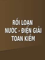 RỐI LOẠN nước điện GIẢI, TOAN KIỀM (nội KHOA) 