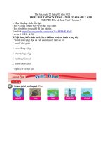 Phiếu học tập lớp 4 môn: Tiếng Anh giáo trình Family and frends, Tên bài học: Unit 9 Lesson 5