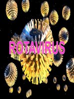 ROTAVIRUS (VI SINH) 