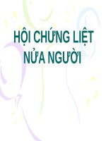 HỘI CHỨNG LIỆT nửa NGƯỜI (nội cơ sở) 