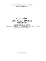 Giáo trình Giải phẫu – sinh lý - Nghề: Dược (Trình độ Cao đẳng): Phần 1